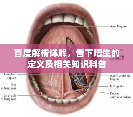 百度解析详解，舌下增生的定义及相关知识科普
