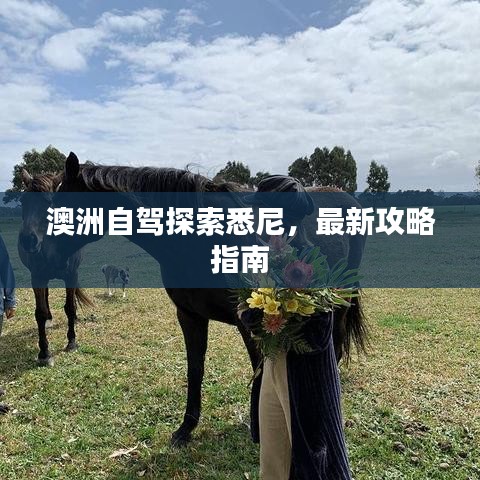 澳洲自驾探索悉尼，最新攻略指南
