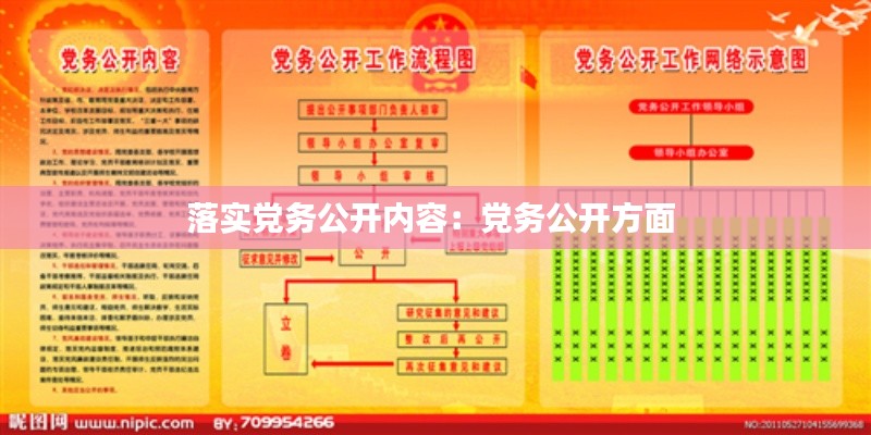落实党务公开内容：党务公开方面 