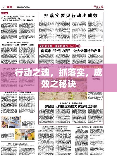 行动之魂，抓落实，成效之秘诀