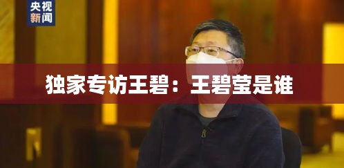 独家专访王碧：王碧莹是谁 