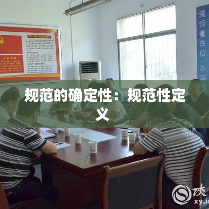 规范的确定性：规范性定义 