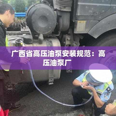 广西省高压油泵安装规范：高压油泵厂 