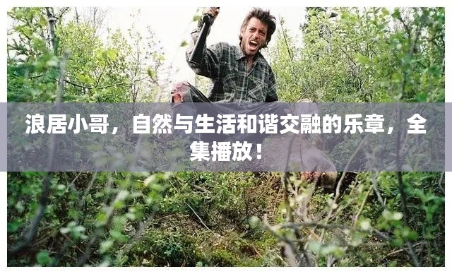 浪居小哥，自然与生活和谐交融的乐章，全集播放！