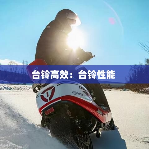 台铃高效：台铃性能 