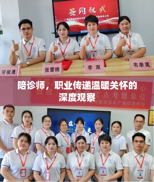 陪诊师，职业传递温暖关怀的深度观察