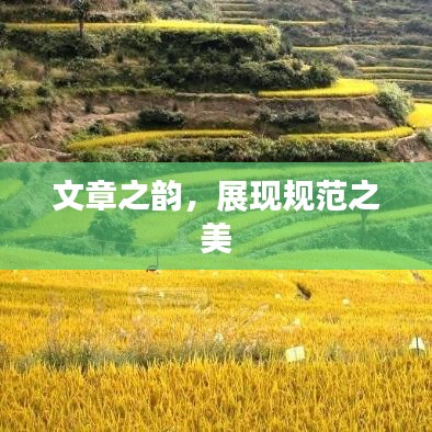 文章之韵，展现规范之美