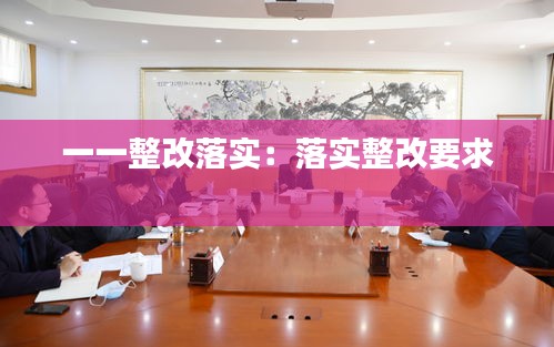 一一整改落实：落实整改要求 