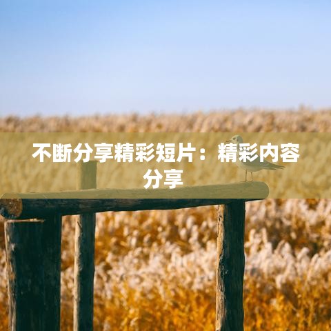 不断分享精彩短片：精彩内容分享 