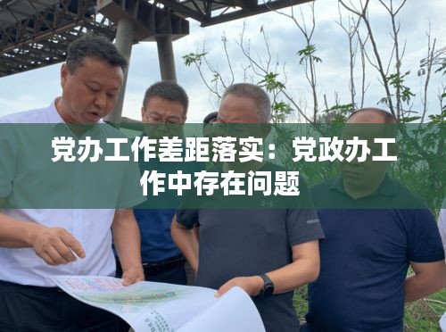 党办工作差距落实：党政办工作中存在问题 