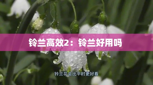 铃兰高效2：铃兰好用吗 