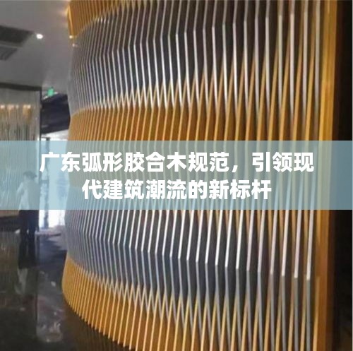 广东弧形胶合木规范，引领现代建筑潮流的新标杆