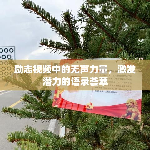 励志视频中的无声力量，激发潜力的语录荟萃