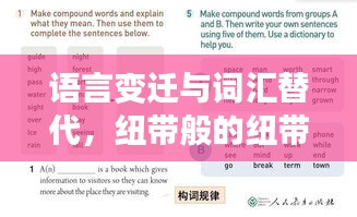 语言变迁与词汇替代，纽带般的纽带关系探究