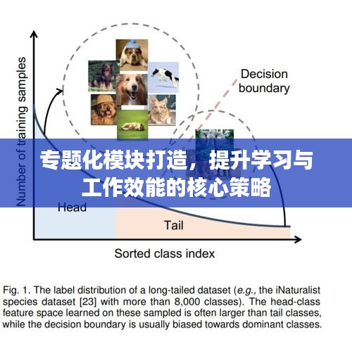 专题化模块打造，提升学习与工作效能的核心策略