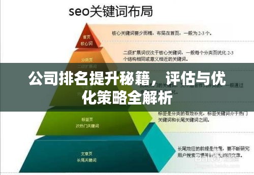 公司排名提升秘籍，评估与优化策略全解析