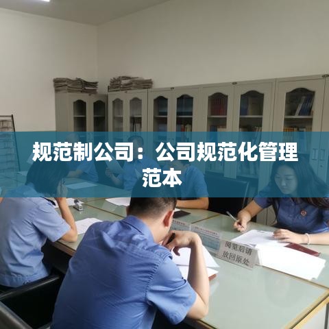 规范制公司：公司规范化管理范本 