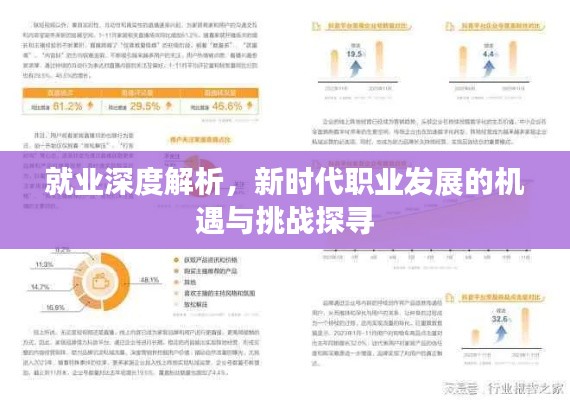 就业深度解析，新时代职业发展的机遇与挑战探寻