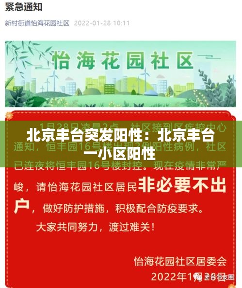 北京丰台突发阳性：北京丰台一小区阳性 