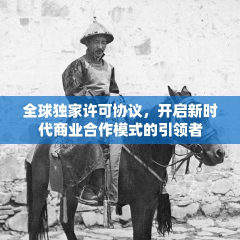 全球独家许可协议，开启新时代商业合作模式的引领者