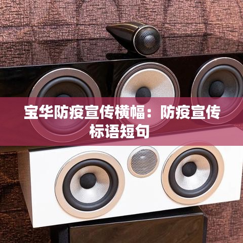 宝华防疫宣传横幅：防疫宣传标语短句 