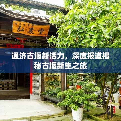 通济古堰新活力，深度报道揭秘古堰新生之旅
