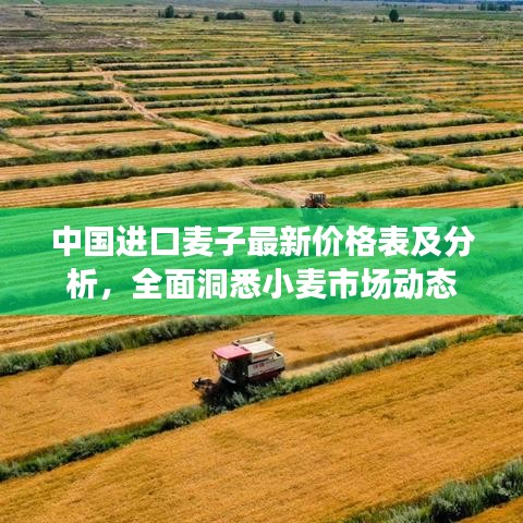 中国进口麦子最新价格表及分析，全面洞悉小麦市场动态