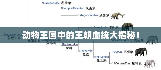 动物王国中的王朝血统大揭秘！