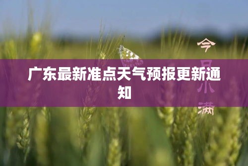 广东最新准点天气预报更新通知