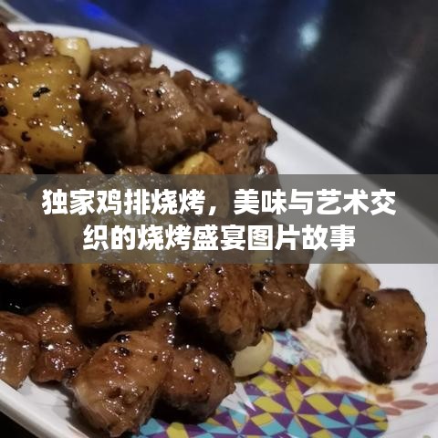 独家鸡排烧烤，美味与艺术交织的烧烤盛宴图片故事