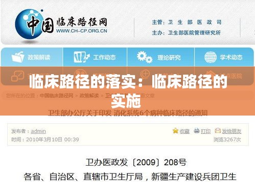 临床路径的落实：临床路径的实施 