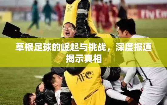 草根足球的崛起与挑战，深度报道揭示真相