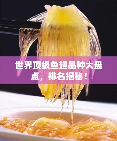 世界顶级鱼翅品种大盘点，排名揭秘！