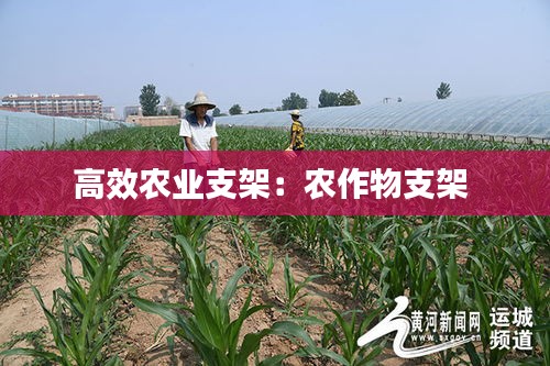高效农业支架：农作物支架 