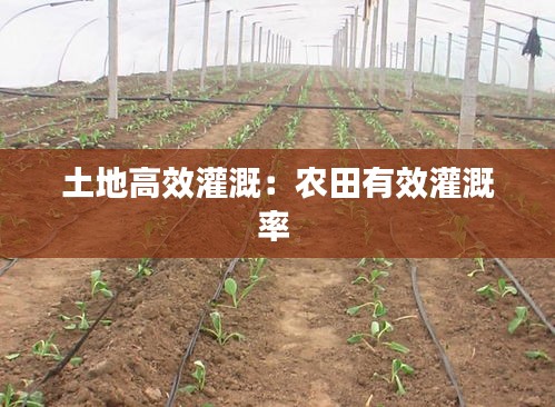 土地高效灌溉：农田有效灌溉率 