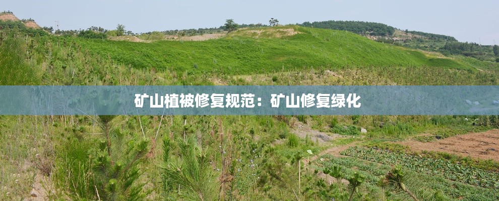 矿山植被修复规范：矿山修复绿化 