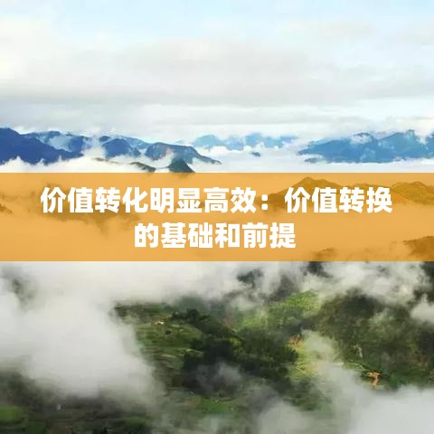 价值转化明显高效：价值转换的基础和前提 