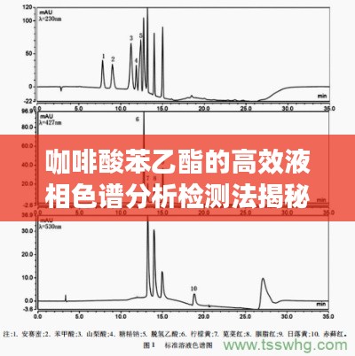 咖啡酸苯乙酯的高效液相色谱分析检测法揭秘