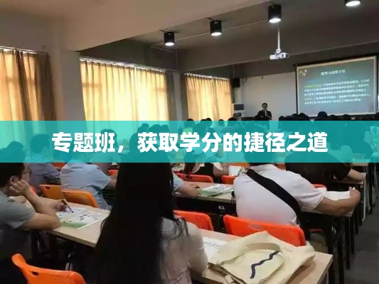 专题班，获取学分的捷径之道