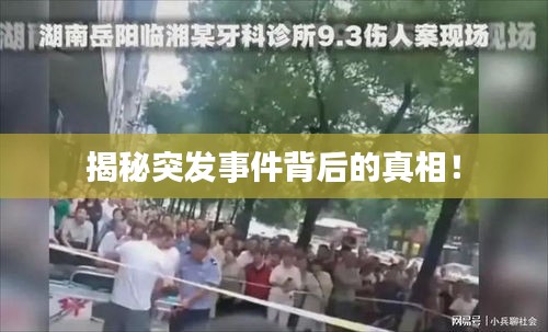揭秘突发事件背后的真相！