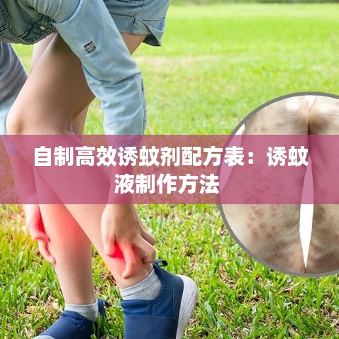 自制高效诱蚊剂配方表：诱蚊液制作方法 