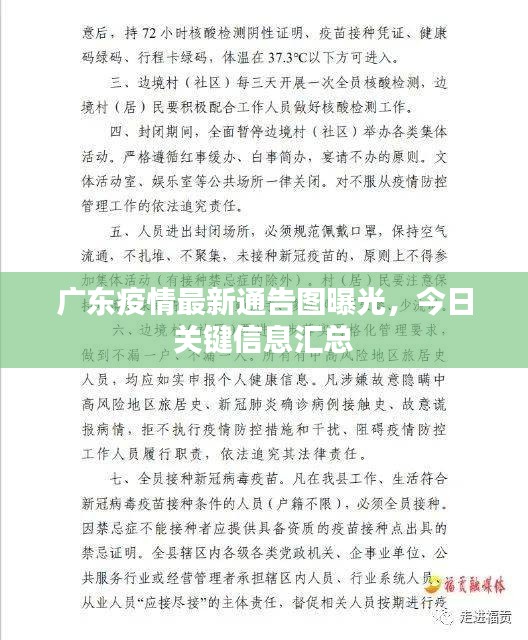 广东疫情最新通告图曝光，今日关键信息汇总
