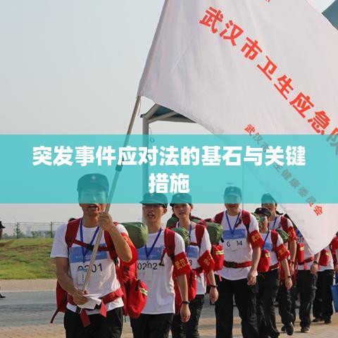 突发事件应对法的基石与关键措施