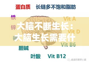 大脑不断生长：大脑生长需要什么营养 