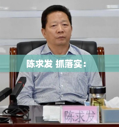 陈求发 抓落实： 