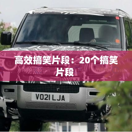 高效搞笑片段：20个搞笑片段 