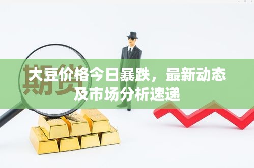 大豆价格今日暴跌，最新动态及市场分析速递