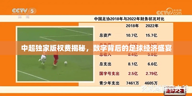 中超独家版权费揭秘，数字背后的足球经济盛宴