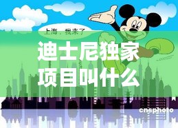 迪士尼独家项目叫什么：迪士尼的项目都有哪些 