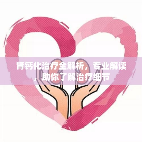 肾钙化治疗全解析，专业解读，助你了解治疗细节